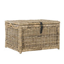 happimess Caden 30" Wicker Storage Trunk, Brown