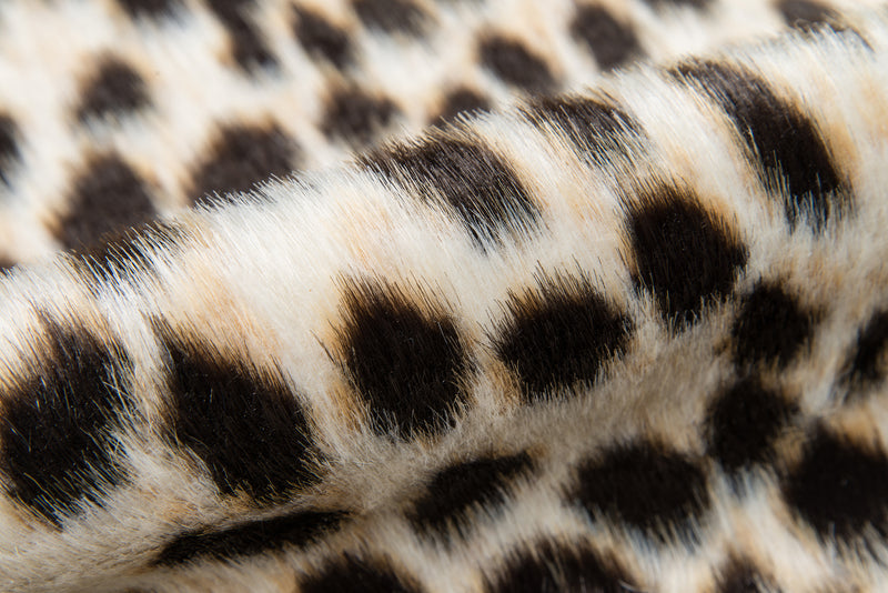 Momeni Acadia Cheetah Rug