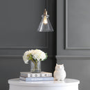 Jonathan Y Goldwater 7.5" Adjustable Drop Metal/Glass LED Pendant