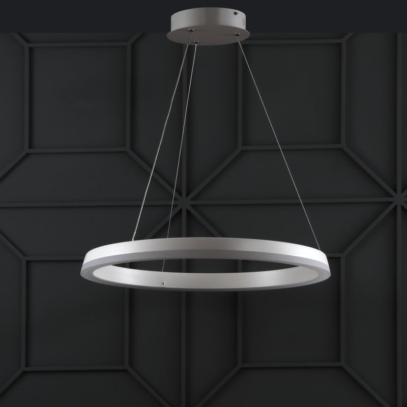 Jonathan Y Baxter 23.5" Integrated LED Metal Hoop Pendant