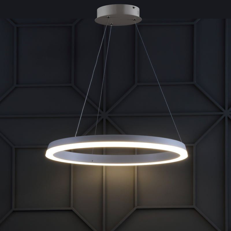Jonathan Y Baxter 23.5" Integrated LED Metal Hoop Pendant