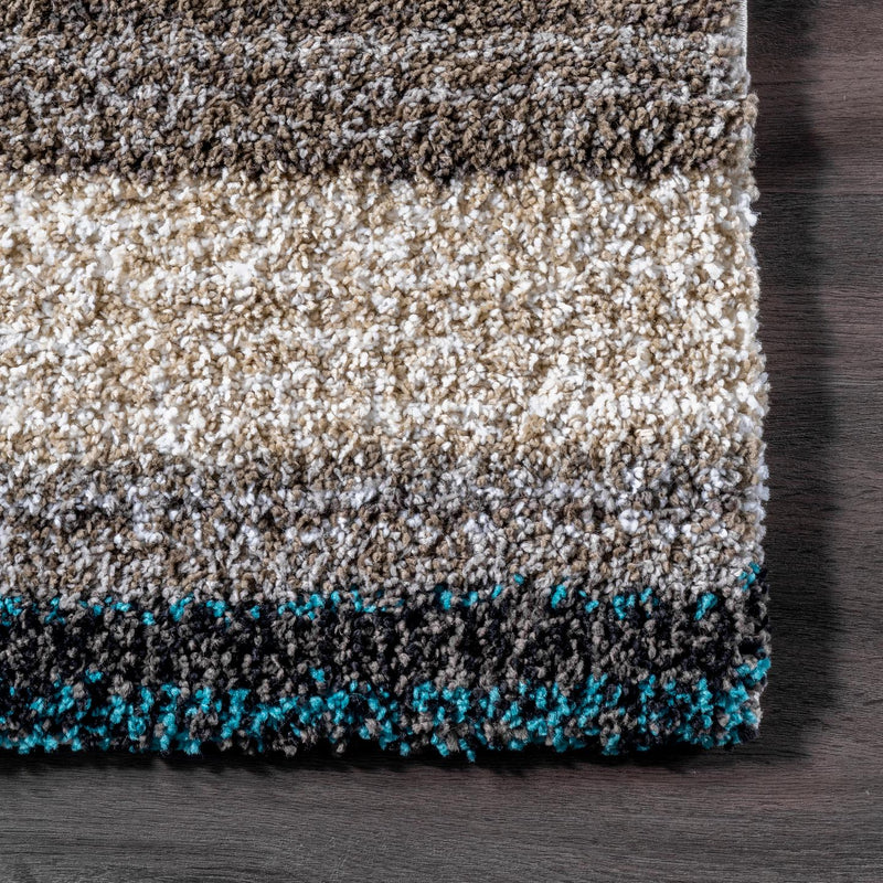 nuLOOM Drey Ombre Shag Area Rug