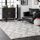 nuLOOM Iola Easy Shag Area Rug