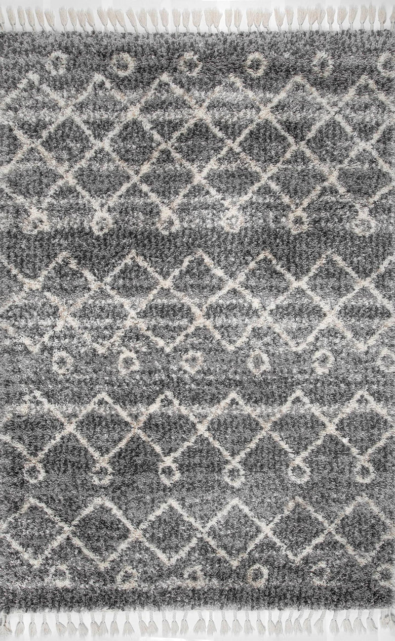 nuLOOM Transitional Kristi Shag Area Rug