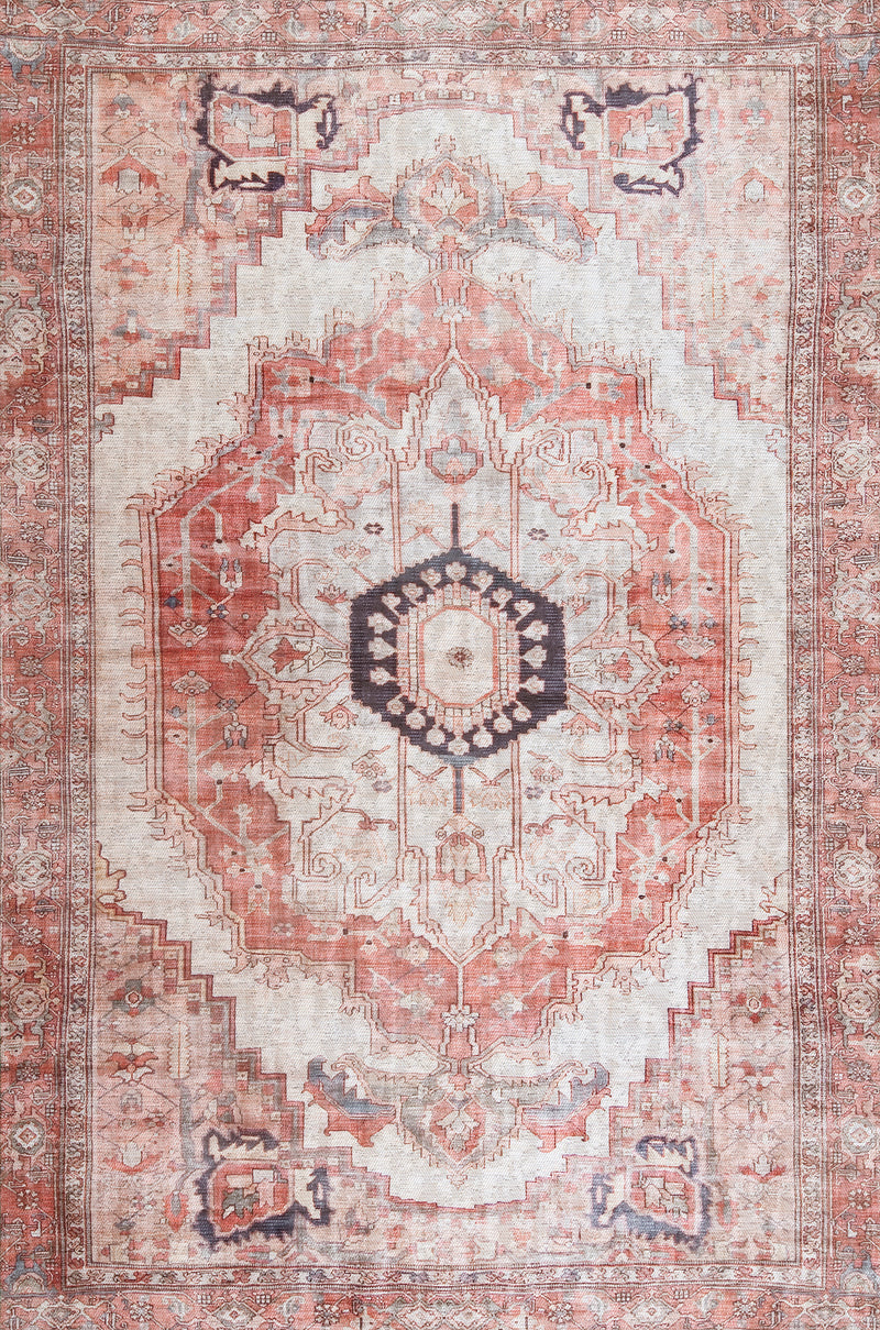 nuLOOM Vintage Minna Area Rug