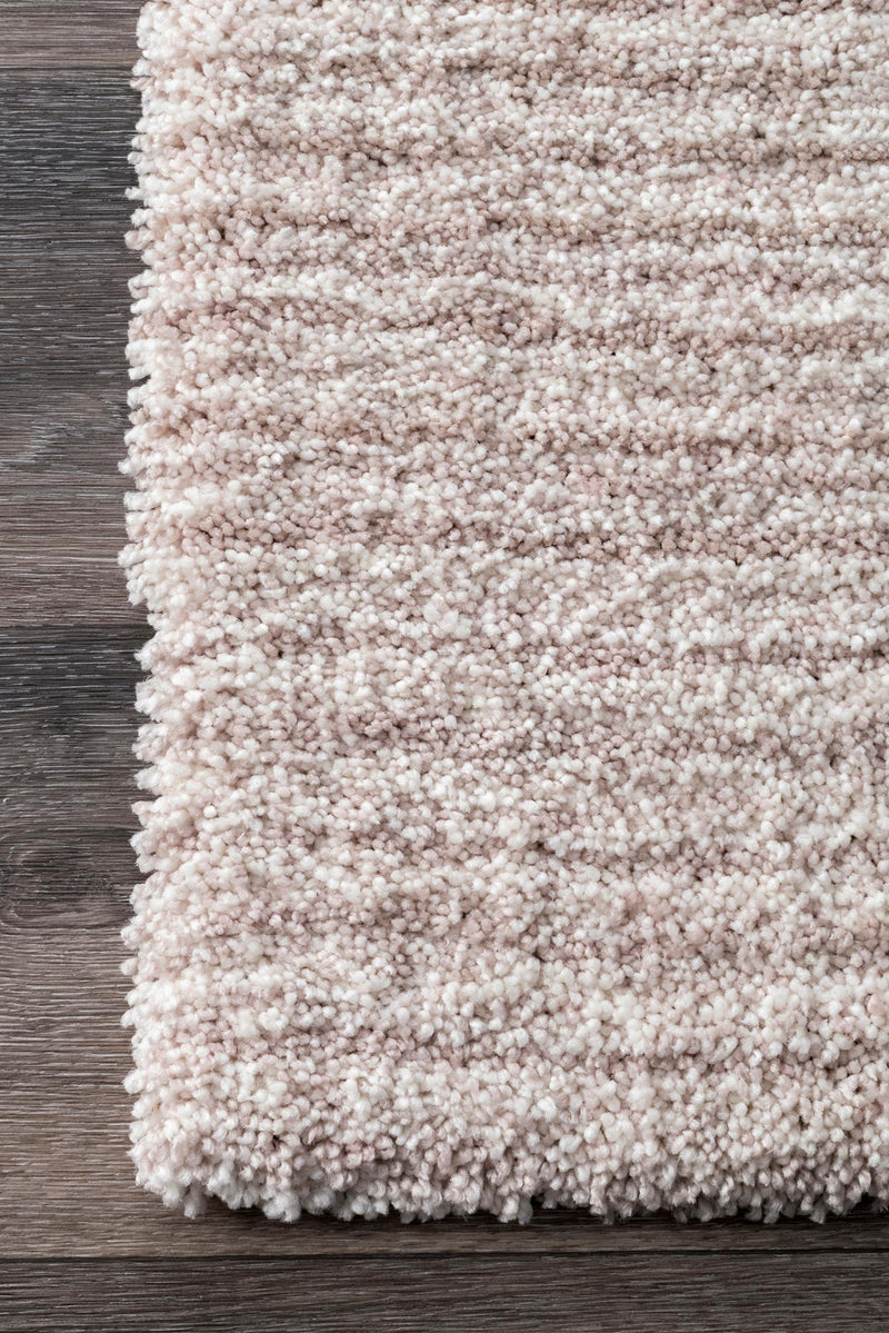 nuLOOM Drey Ombre Shag Area Rug