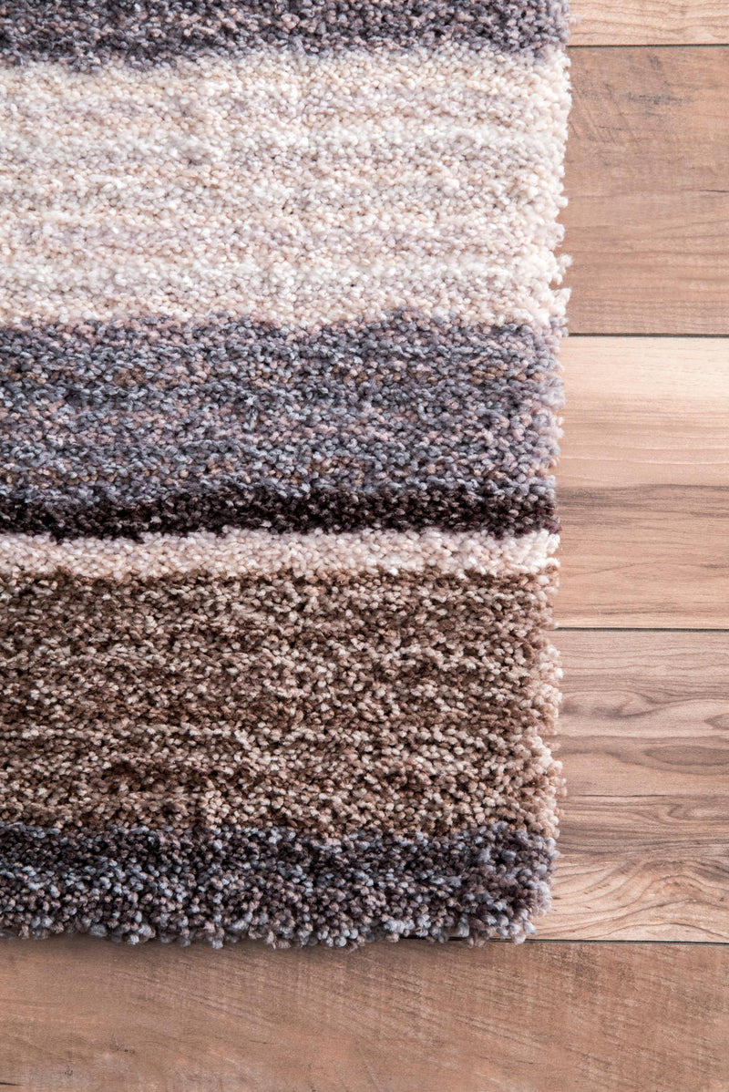 nuLOOM Drey Ombre Shag Area Rug