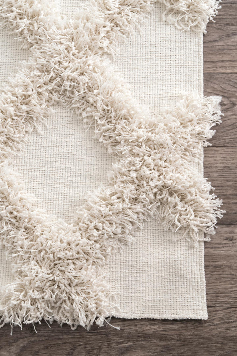 nuLOOM Francene Diamond Trellis Shaggy Area Rug