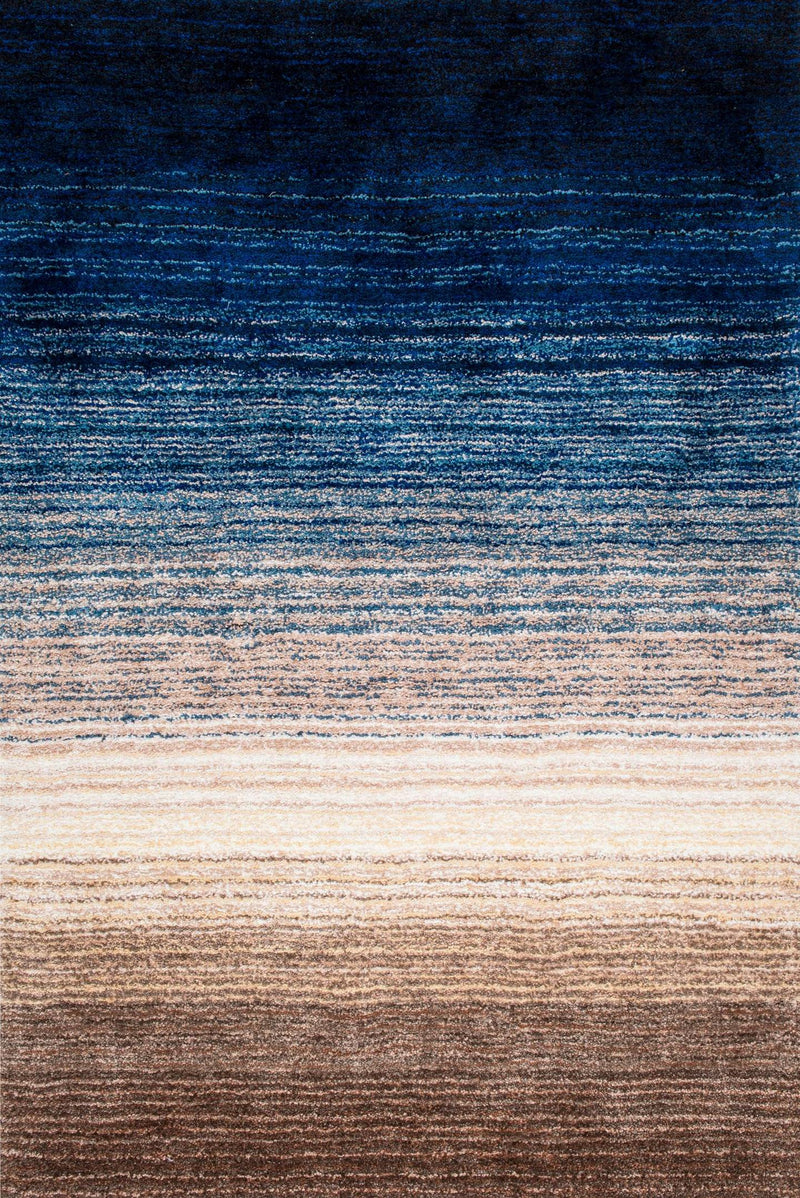 nuLOOM Drey Ombre Shag Area Rug