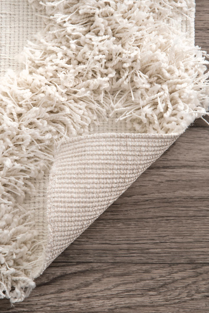 nuLOOM Francene Diamond Trellis Shaggy Area Rug