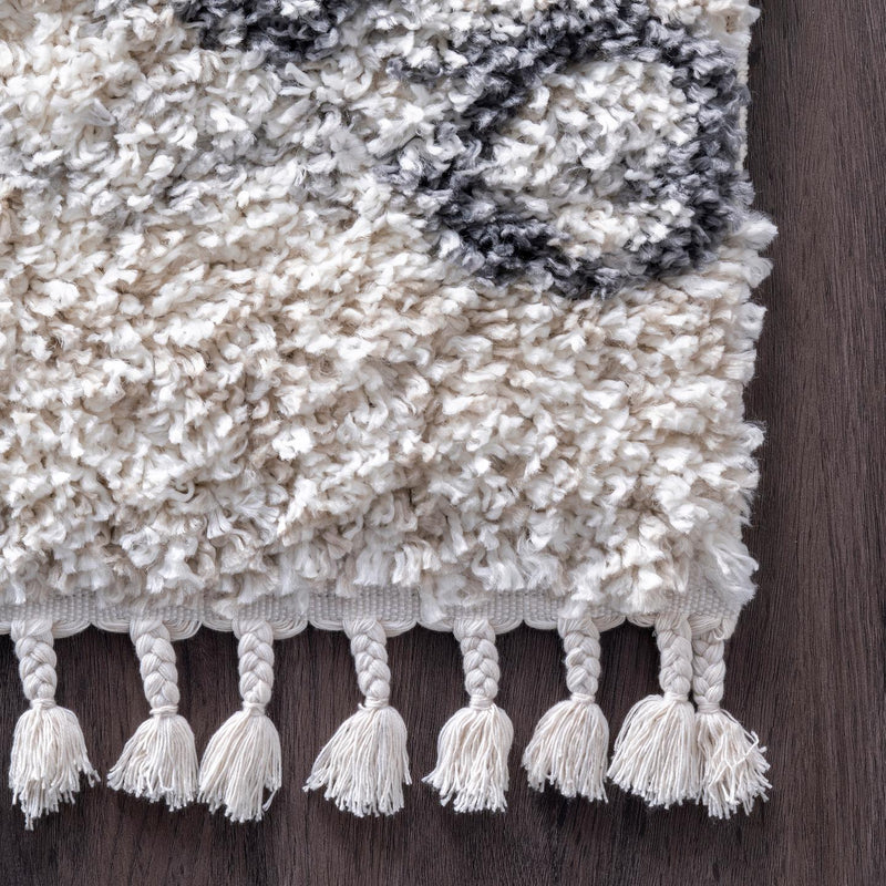 nuLOOM Transitional Kristi Shag Area Rug