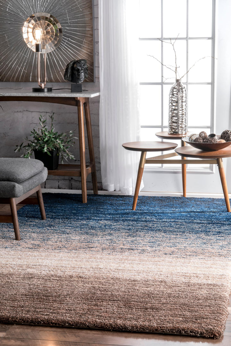 nuLOOM Drey Ombre Shag Area Rug